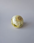 Flower Shower Bol Uitvaart met witte bloem, handgemaakt van epoxy om rouwbloemen en herinneringen te bewaren